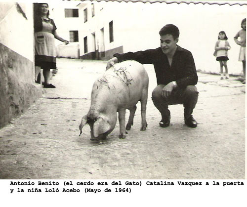 Antonio Benito y el cerdo.