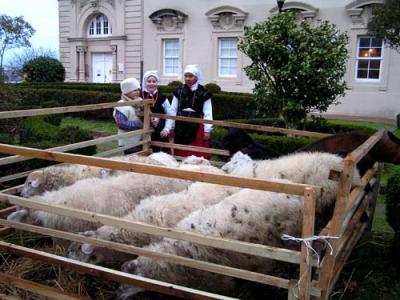 Los Pastores con sus ovejas