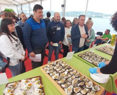 Castropol se prepara para celebrar el Festival de la Ostra con un intenso programa de actividades durante cuatro d&iacute;as